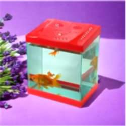 EMİR PLASTİK KAPAKLI AKVARYUM - MİNİ AKVARYUM 12 Lİ